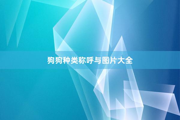 狗狗种类称呼与图片大全