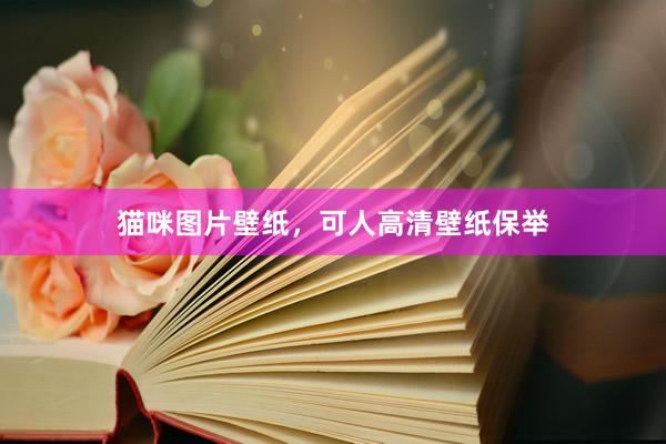 猫咪图片壁纸，可人高清壁纸保举